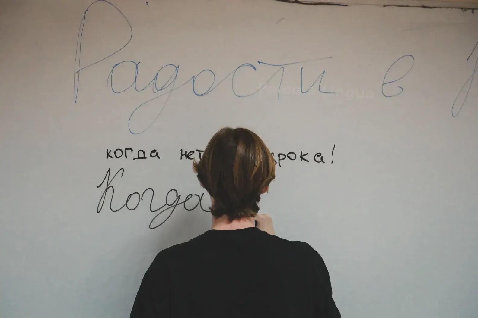 Polonia Lingua