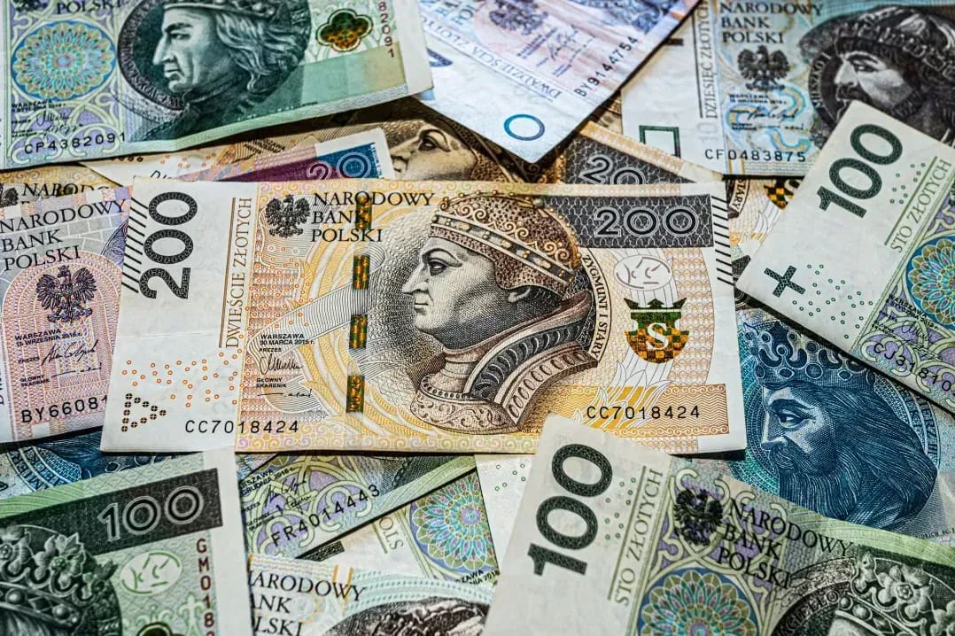 Traduzione e revisione di materiali didattici in polacco
